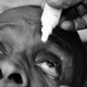Illustration for article titled Man Refuses to Pay Attention to Woman; She Poisons Him Slowly With Eye Drops.